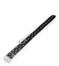 Load image into Gallery viewer, BDSM-Halsband mit Flachnieten, O-Ring und Leine