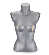 Load image into Gallery viewer, BDSM-Nippelklemmen Sweet Pain