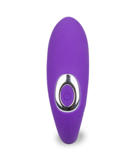 Load image into Gallery viewer, Ferngesteuerter Paar-Vibrator Cooler