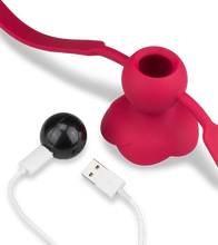 Load image into Gallery viewer, Gagball mit Vibration Rosie
