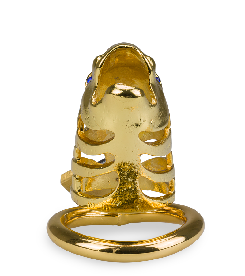 Goldfarbener Peniskäfig chinesisches Sternzeichen Drache