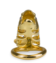 Load image into Gallery viewer, Goldfarbener Peniskäfig chinesisches Sternzeichen Drache