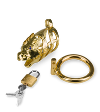 Load image into Gallery viewer, Goldfarbener Peniskäfig chinesisches Sternzeichen Drache