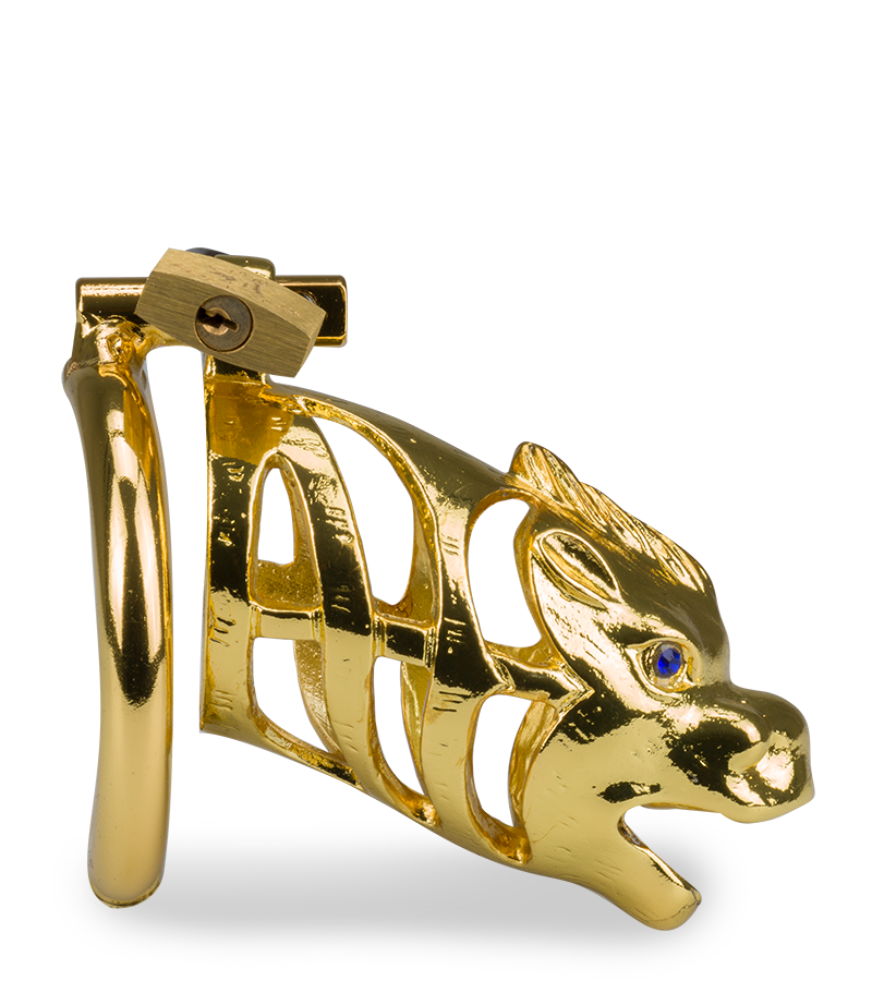 Goldfarbener Peniskäfig chinesisches Sternzeichen Drache