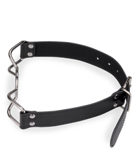 Load image into Gallery viewer, Knebelring und Mundspreizer Spider Bondage