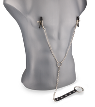 Load image into Gallery viewer, Nippelklemmen + Metall-Penisring