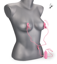 Load image into Gallery viewer, Nippelklemmen mit Estim und Vibration