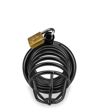 Load image into Gallery viewer, Peniskäfig Little Prisoner