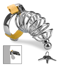 Load image into Gallery viewer, Peniskäfig mit Harnröhrenplug Delicious Chastity