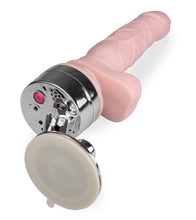 Load image into Gallery viewer, Realistischer Dildovibrator mit Saugfuß-Halterung