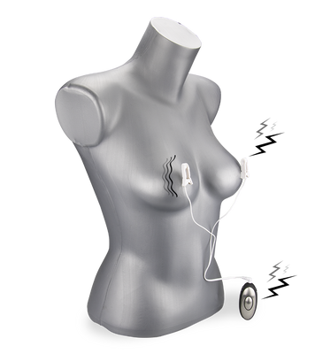 Zwei Klemmen für Elektrosex