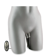 Load image into Gallery viewer, Zwei Klemmen für Elektrosex